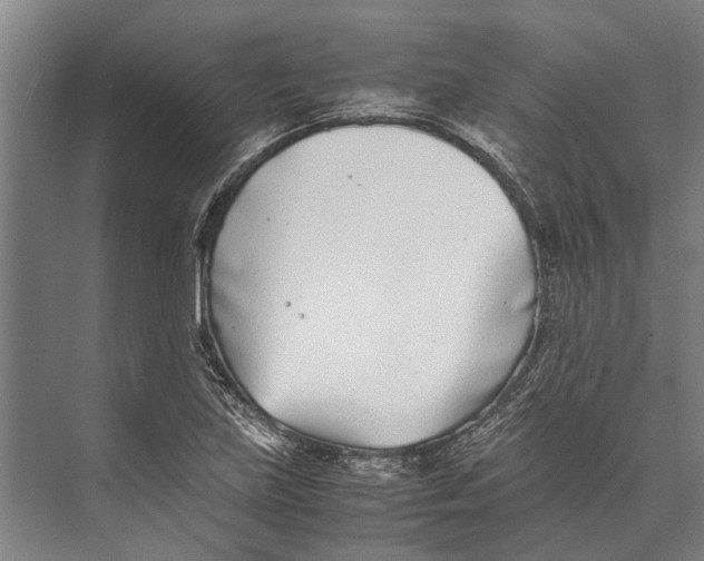 X0000071951219200608041544