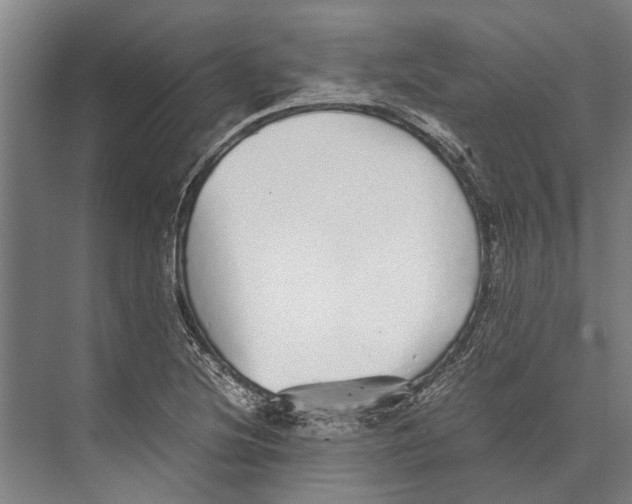 X0000071951220200608041544