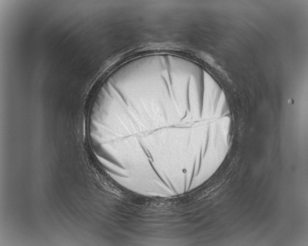 X0000071951221200608041544