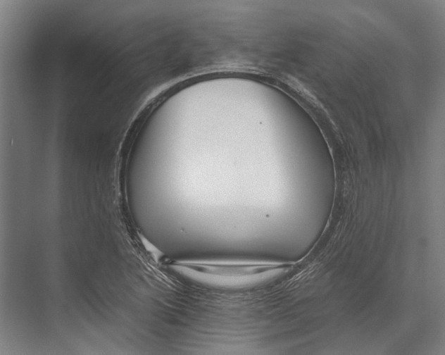 X0000071951222200608041544