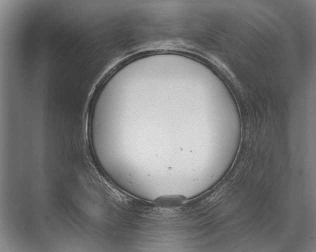 X0000071951224200608041544