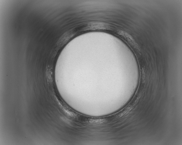 X0000071951225200608041544