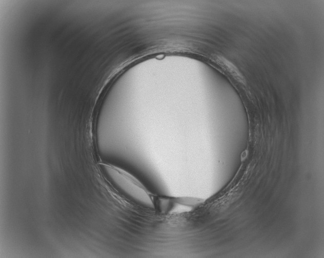 X0000071951226200608041544