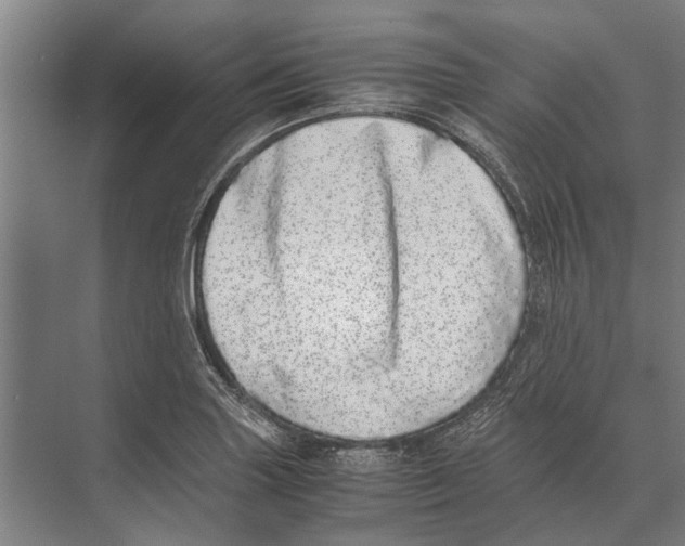 X0000071951227200608041545