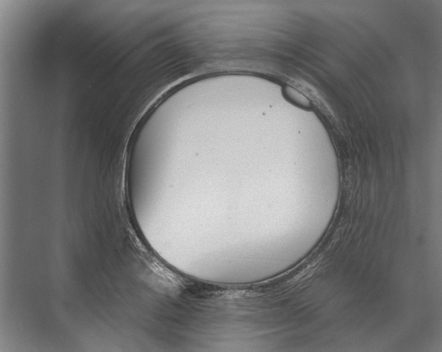 X0000071951228200608041545