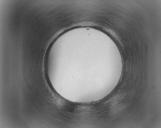 X0000071951229200608041545