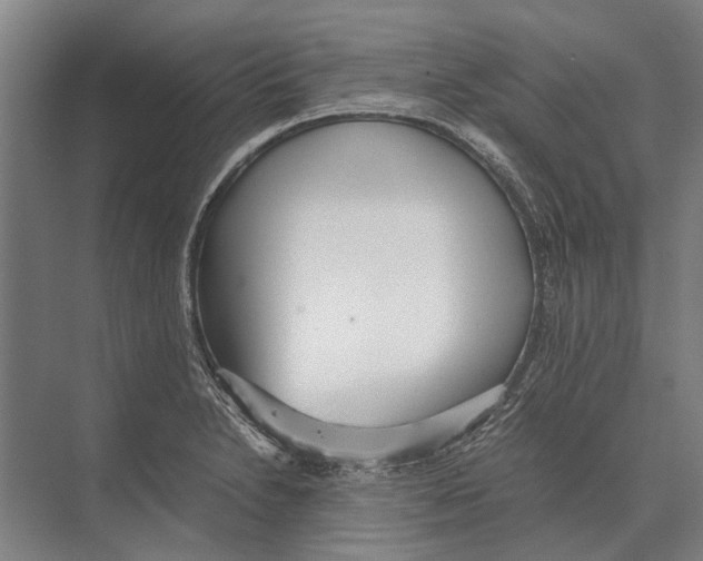 X0000071951230200608041545