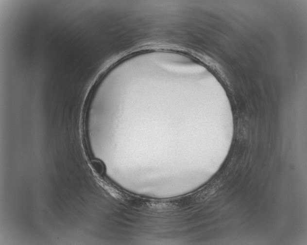 X0000071951231200608041545