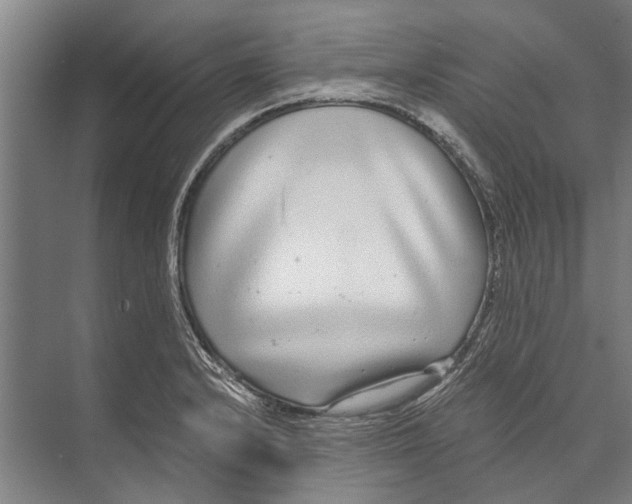 X0000071951232200608041545