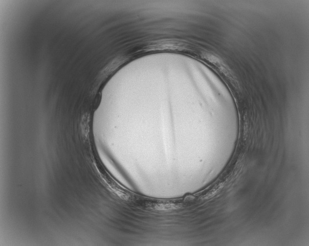 X0000071951233200608041545