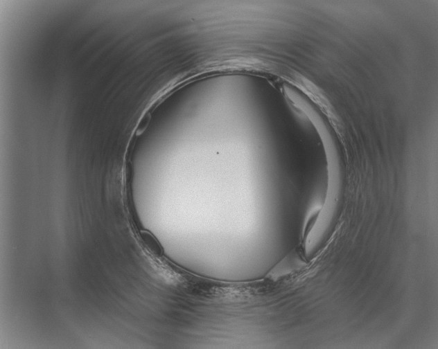 X0000071951234200608041545