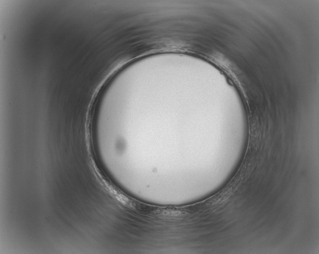 X0000071951235200608041545