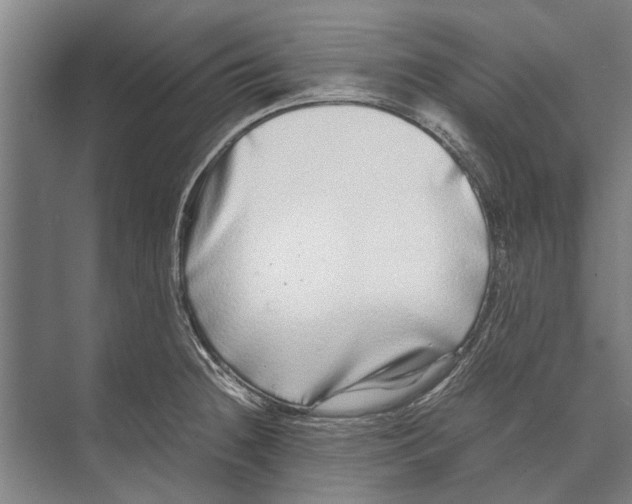 X0000071951236200608041545