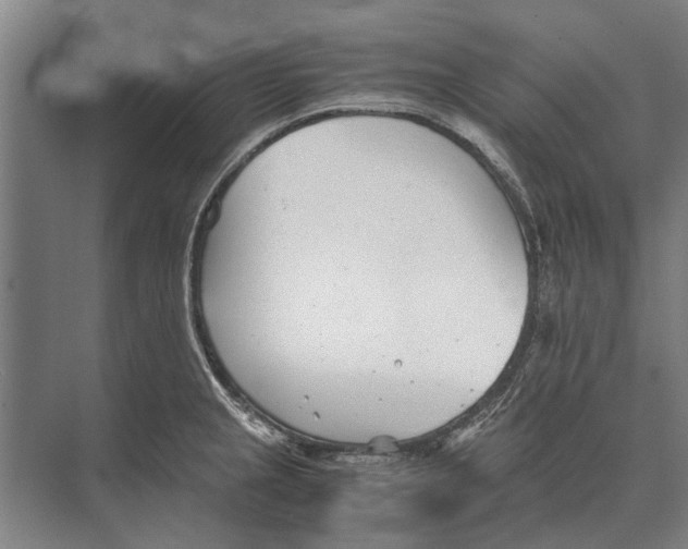 X0000071951237200608041545