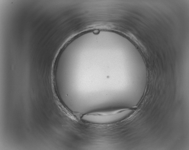 X0000071951240200608041545