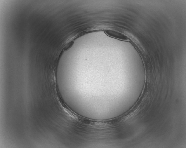 X0000071951241200608041545