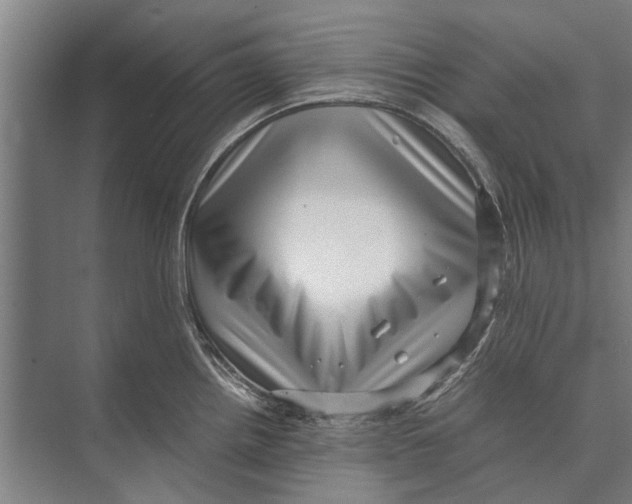 X0000071951242200608041545