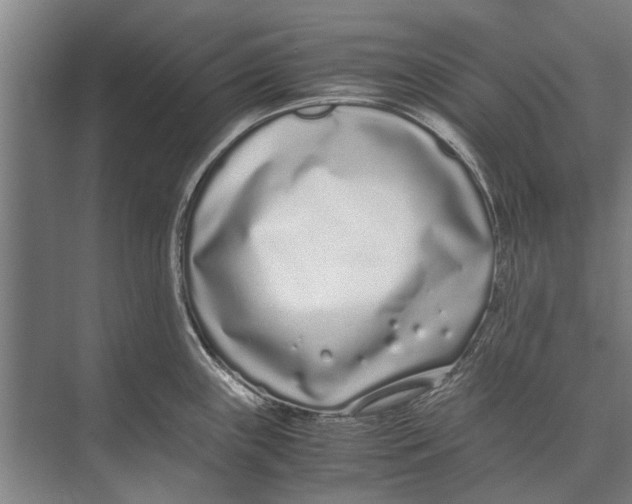 X0000071951243200608041545