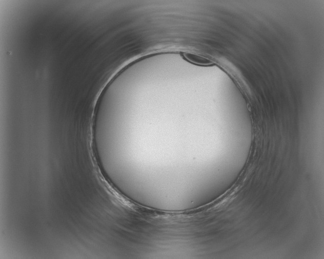 X0000071951244200608041545