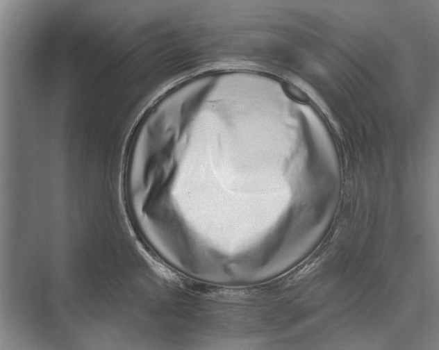 X0000071951245200608041545