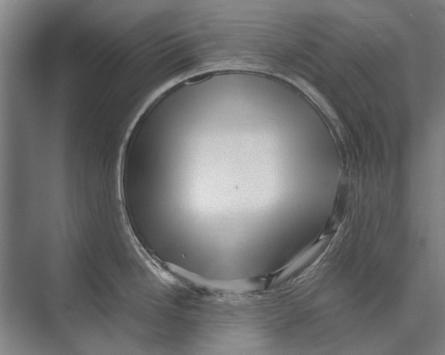 X0000071951246200608041545