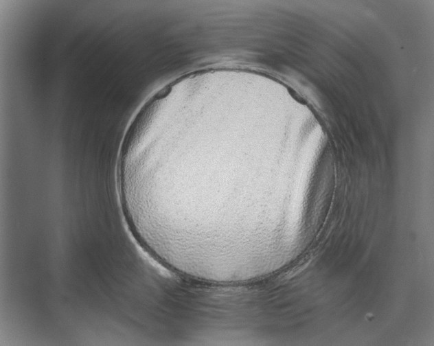 X0000071951247200608041545