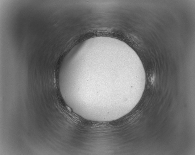 X0000071951252200608041544