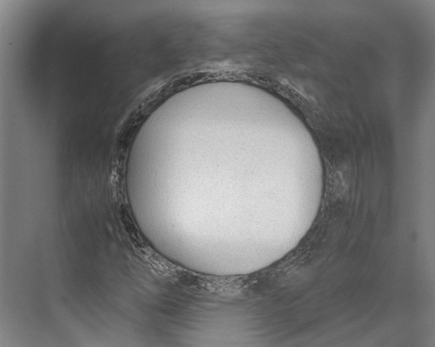 X0000071951254200608041544