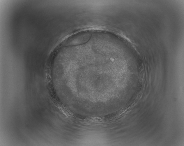 X0000071951255200608041544