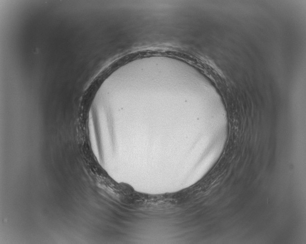 X0000071951256200608041544