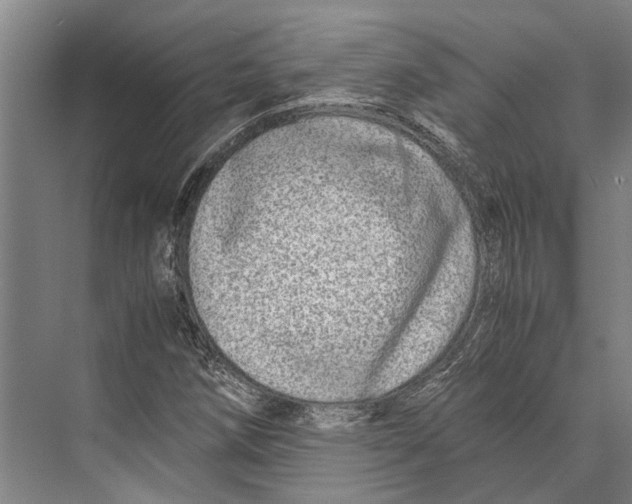 X0000071951258200608041544