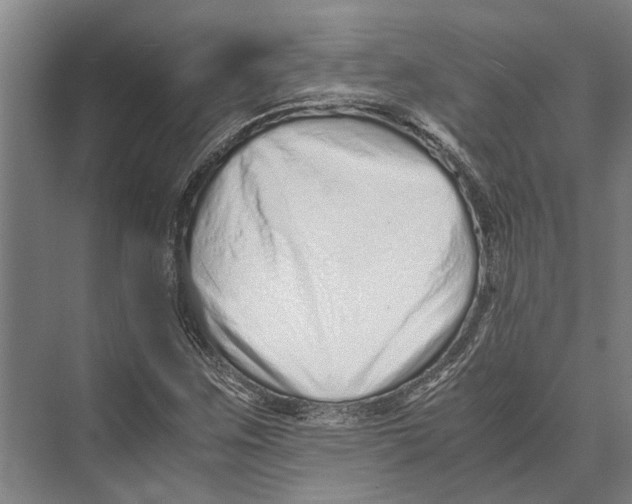 X0000071951259200608041544