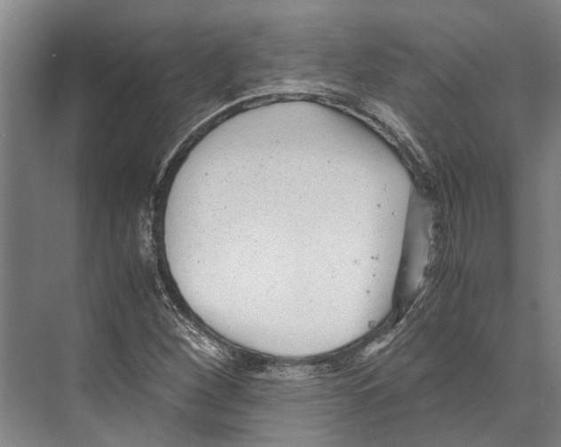 X0000071951260200608041544