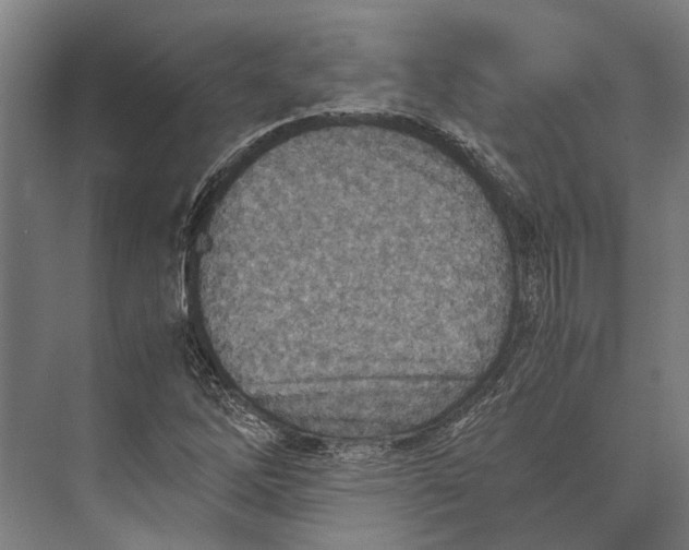 X0000071951262200608041544