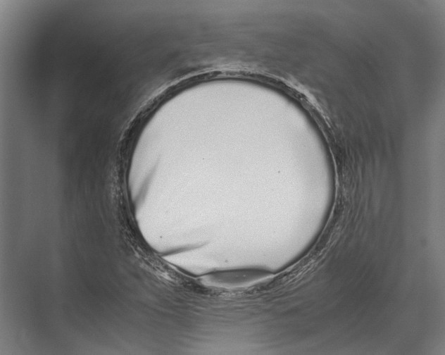 X0000071951263200608041544