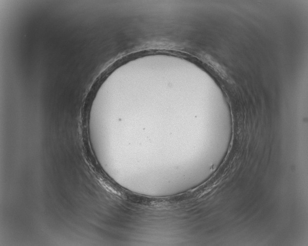 X0000071951264200608041544