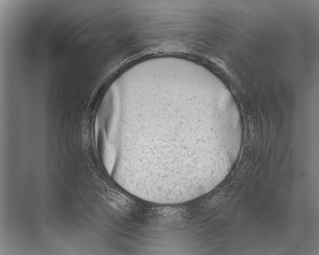 X0000071951266200608041544