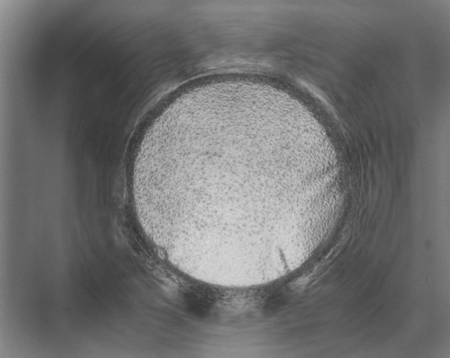 X0000071951267200608041544