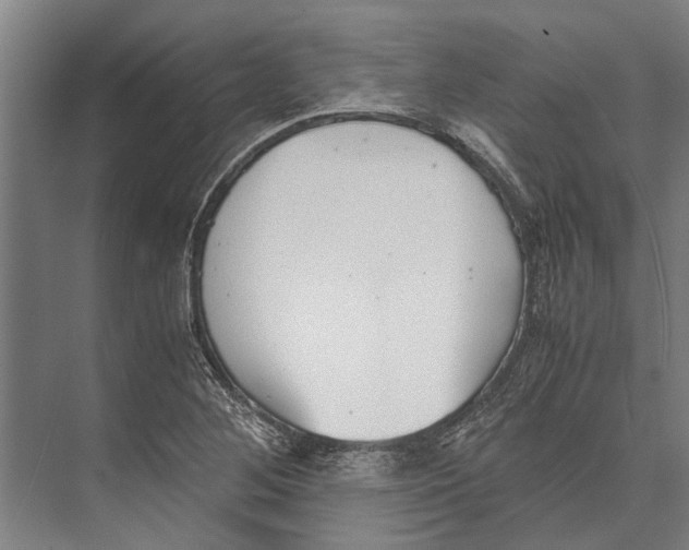 X0000071951268200608041544