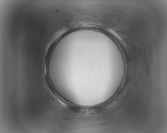 X0000071951269200608041544