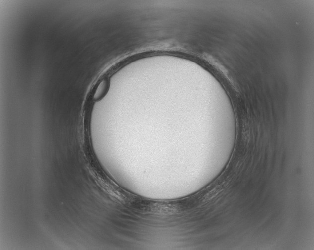 X0000071951270200608041544