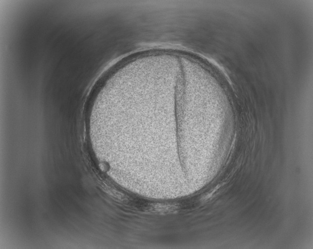 X0000071951271200608041544