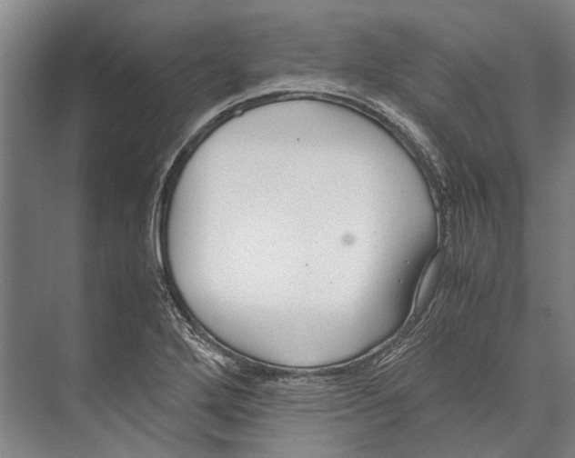 X0000071951272200608041544