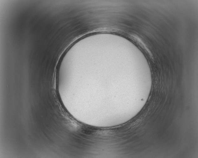 X0000071951276200608041544