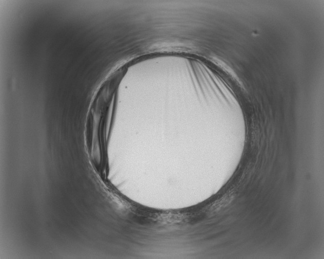 X0000071951277200608041544