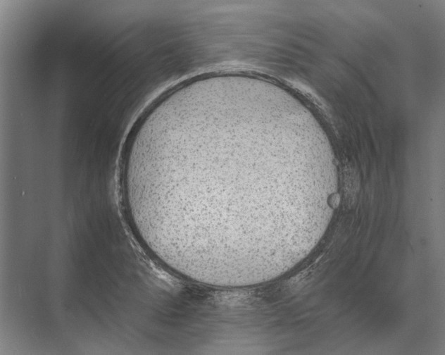 X0000071951278200608041544