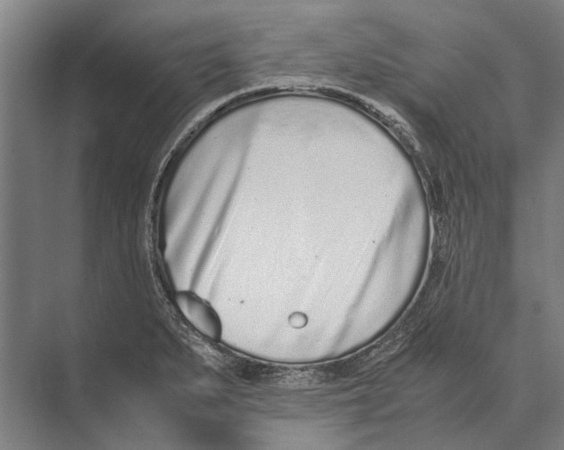 X0000071951279200608041544