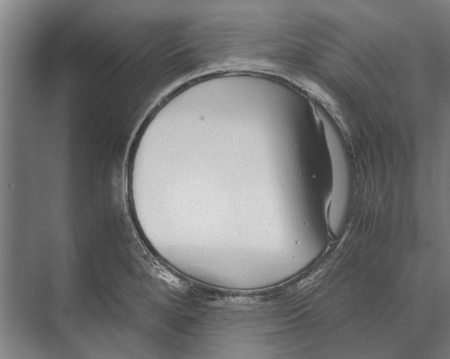 X0000071951280200608041544