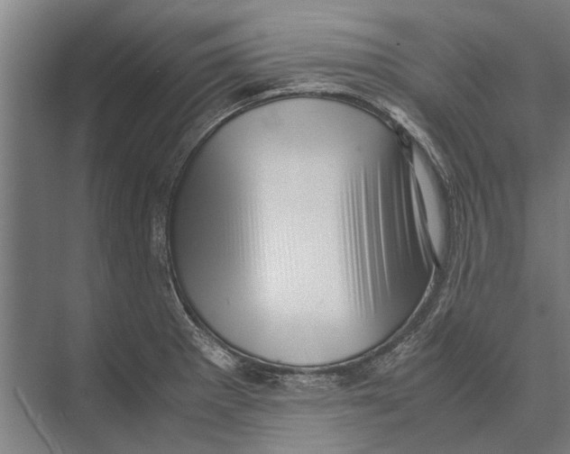 X0000071951281200608041544