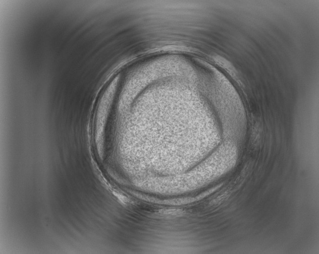 X0000071951282200608041543